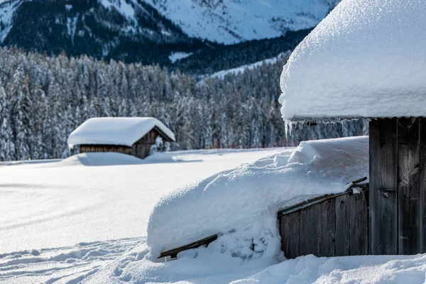 Disparo Día Bosque Nevado Con Casa Nieve Frío —  Fotos de Stock