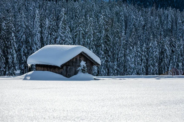 白天拍摄的雪地森林与房子 冰天雪地 — 图库照片