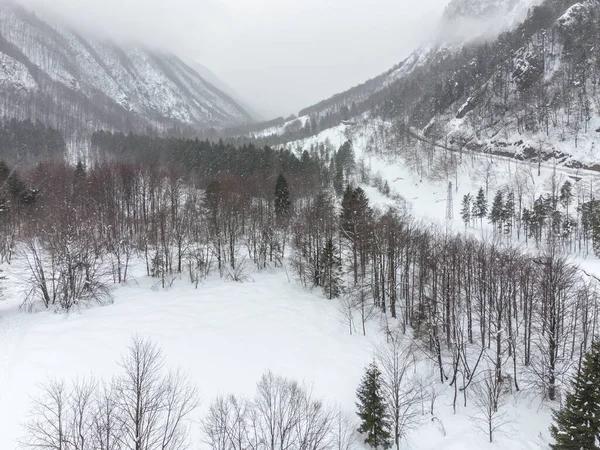Снежный Лес Красивая Зимняя Природа — стоковое фото