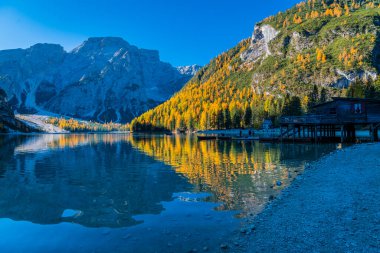 Braies Gölü 'nde sonbahar ve altın yansımalar. Dolomitlerin Parkı.