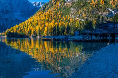 Braies Gölü 'nde sonbahar ve altın yansımalar. Dolomitlerin Parkı.