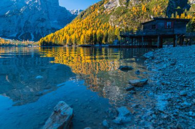 Braies Gölü 'nde sonbahar ve altın yansımalar. Dolomitlerin Parkı.