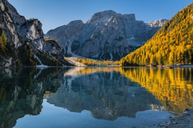 Braies Gölü 'nde sonbahar ve altın yansımalar. Dolomitlerin Parkı.