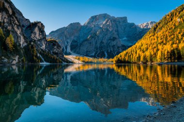 Braies Gölü 'nde sonbahar ve altın yansımalar. Dolomitlerin Parkı.