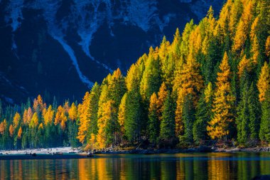 Braies Gölü 'nde sonbahar ve altın yansımalar. Dolomitlerin Parkı.