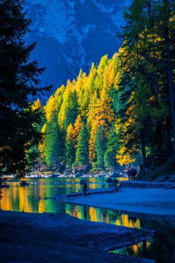 Arka planda Braies Gölü var. İtalyan Alpleri, Dolomite, İtalya ve Avrupa 'nın renkli sonbaharı. 