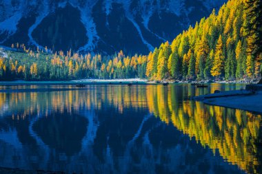 Braies Gölü 'nde sonbahar ve altın yansımalar. Dolomitlerin Parkı.