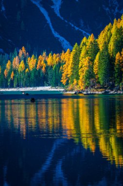 Arka planda Braies Gölü var. İtalyan Alpleri, Dolomite, İtalya ve Avrupa 'nın renkli sonbaharı. 