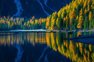 Braies Gölü 'nde sonbahar ve altın yansımalar. Dolomitlerin Parkı.