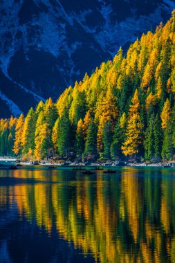 Braies Gölü 'nde sonbahar ve altın yansımalar. Dolomitlerin Parkı.