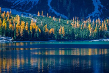 Braies Gölü 'nde sonbahar ve altın yansımalar. Dolomitlerin Parkı.