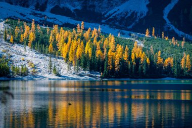 Braies Gölü 'nde sonbahar ve altın yansımalar. Dolomitlerin Parkı.