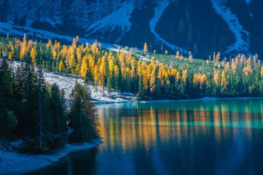 Braies Gölü 'nde sonbahar ve altın yansımalar. Dolomitlerin Parkı.