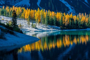 Braies Gölü 'nde sonbahar ve altın yansımalar. Dolomitlerin Parkı.