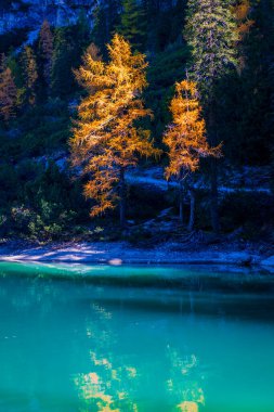 Arka planda Braies Gölü var. İtalyan Alpleri, Dolomite, İtalya ve Avrupa 'nın renkli sonbaharı. 