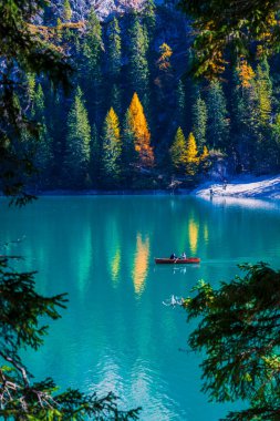 Arka planda Braies Gölü var. İtalyan Alpleri, Dolomite, İtalya ve Avrupa 'nın renkli sonbaharı. 