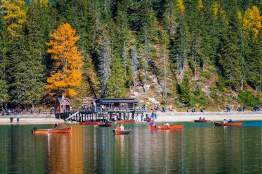 Arka planda Braies Gölü var. İtalyan Alpleri, Dolomite, İtalya ve Avrupa 'nın renkli sonbaharı. 