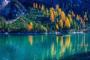 Arka planda Braies Gölü var. İtalyan Alpleri, Dolomite, İtalya ve Avrupa 'nın renkli sonbaharı. 
