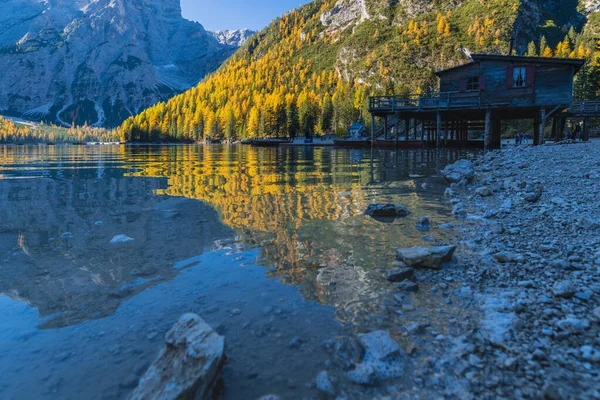 Braies Gölü 'nde sonbahar ve altın yansımalar. Dolomitlerin Parkı.