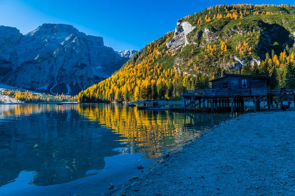 Braies Gölü 'nde sonbahar ve altın yansımalar. Dolomitlerin Parkı.