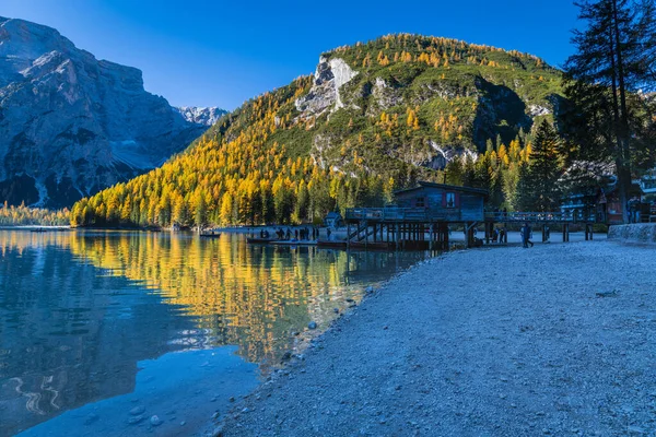 Braies Gölü 'nde sonbahar ve altın yansımalar. Dolomitlerin Parkı.