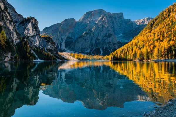 Braies Gölü 'nde sonbahar ve altın yansımalar. Dolomitlerin Parkı.