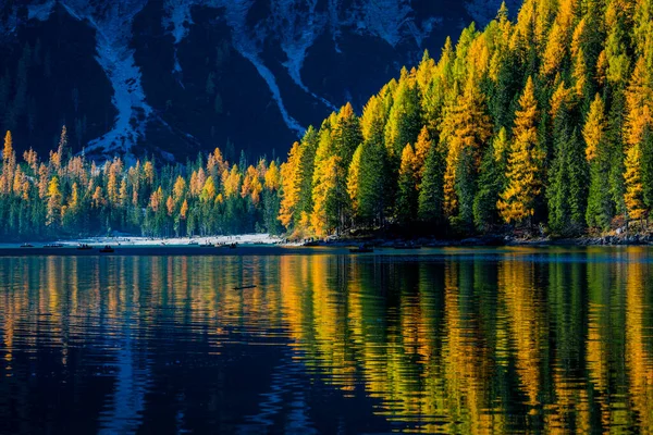 Podzim Zlaté Odlesky Jezeře Braies Park Dolomit — Stock fotografie
