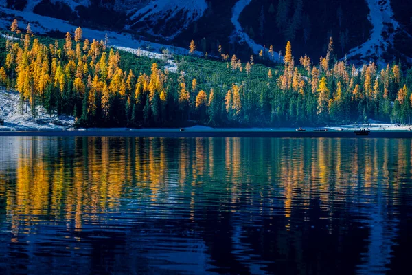 Reflexiones Otoñales Doradas Sobre Lago Braies Parque Los Dolomitas — Foto de Stock
