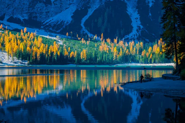 Podzim Zlaté Odlesky Jezeře Braies Park Dolomit — Stock fotografie