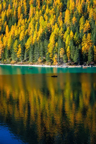 Herbst Und Goldene Spiegelungen Pragser See Park Der Dolomiten — Stockfoto