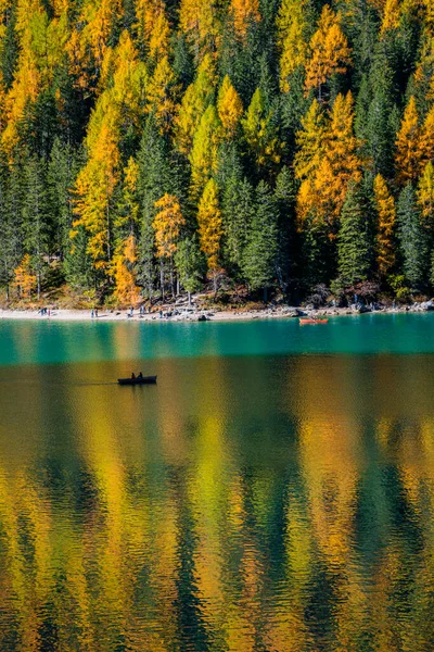 Herbst Und Goldene Spiegelungen Pragser See Park Der Dolomiten — Stockfoto