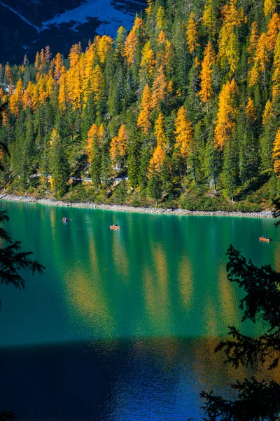 Autumn Golden Reflections Lake Braies Park Dolomites — Stock Photo, Image
