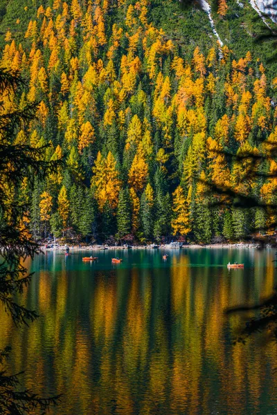 秋天和金黄的倒影在布雷湖上 白蚁公园 — 图库照片