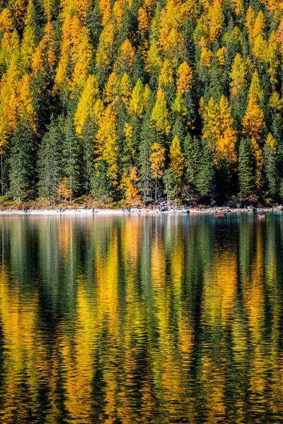 秋天和金黄的倒影在布雷湖上 白蚁公园 — 图库照片