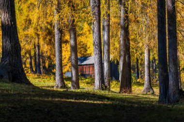 Görkemli Dolomitlerin manzarası Val Fiscalina, Güney Tyrol