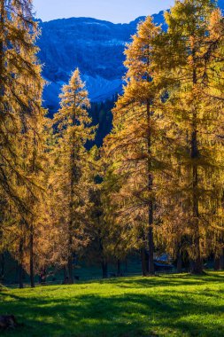 Görkemli Dolomitlerin manzarası Val Fiscalina, Güney Tyrol