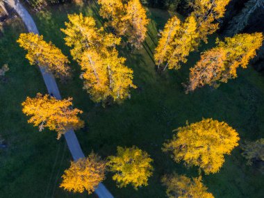 Val Fiscalina 'da sonbahar, Dolomites Park. Güzel dağ manzarasının havadan görünüşü