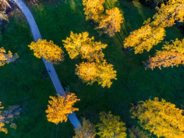 Val Fiscalina 'da sonbahar, Dolomites Park. Güzel dağ manzarasının havadan görünüşü