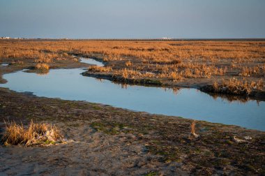 Sahilde güzel bir gün batımı manzarası