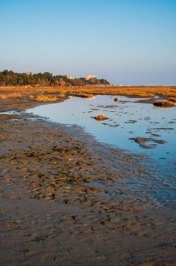 Sahilde güzel bir gün batımı manzarası