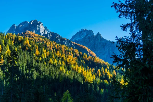 Otoño Val Fiscalina Parque Dolomitas Vista Aérea Del Hermoso Paisaje — Foto de Stock