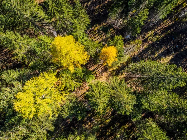 Осень Вал Фискалина Доломитный Парк Вид Воздуха Красивый Горный Ландшафт — стоковое фото