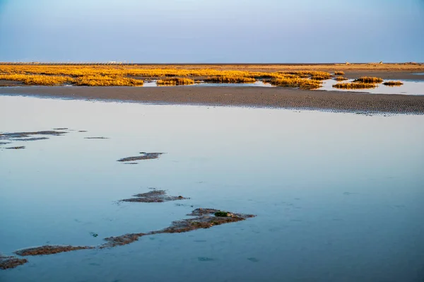 Sahilde Güzel Bir Gün Batımı Manzarası — Stok fotoğraf