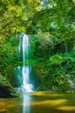 Etrafı yeşilliklerle çevrili bir şelale. Acquacaduta. Friuli, İtalya