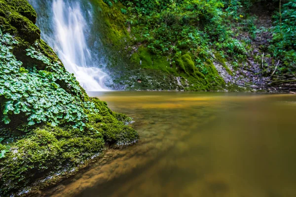 Cascata Immersa Nel Verde Acquacaduta Friuli Italia — Foto Stock