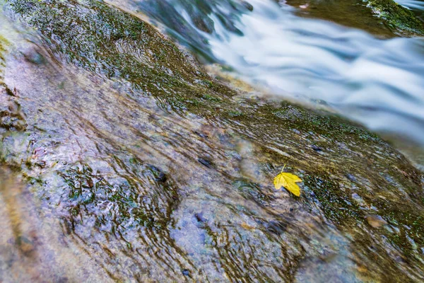 瀑布周围绿油油的 Acquacaduta 意大利弗留利 — 图库照片