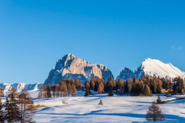 Dolomitler 'deki Seiser Alm ya da Alpe di Siusi' nin Panorama görüntüsü, İtalya.
