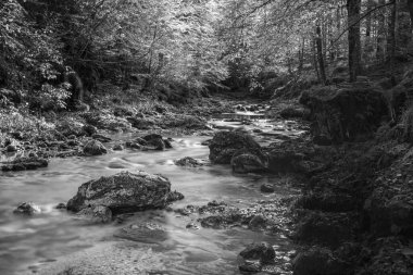 Val d 'Arzino ormanında sonbahar manzarası. Sihirli Friuli.