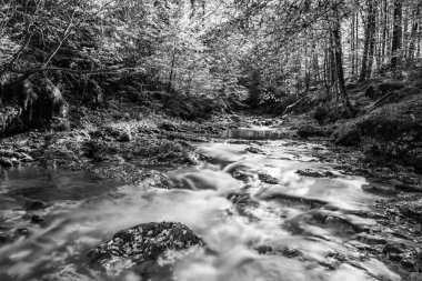 Val d 'Arzino ormanında sonbahar manzarası. Sihirli Friuli.