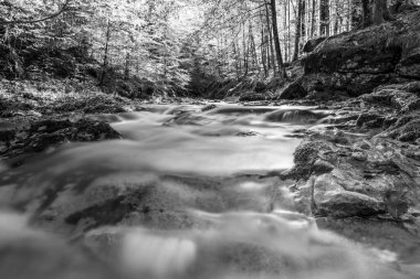 Val d 'Arzino ormanında sonbahar manzarası. Sihirli Friuli.